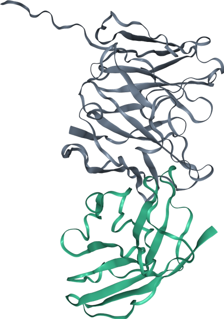 Predicted structure of the designed binder bound to its target