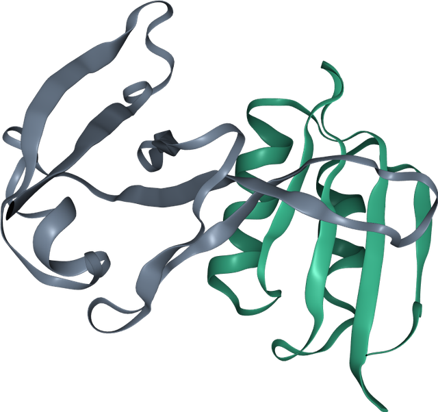 Predicted structure of the designed binder bound to its target