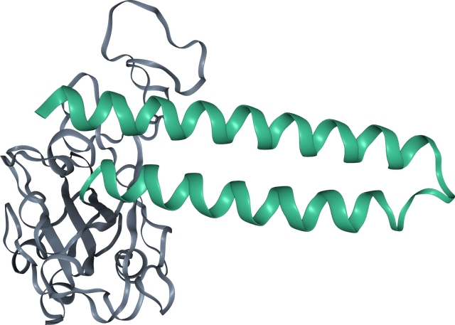 Predicted structure of the designed binder bound to its target